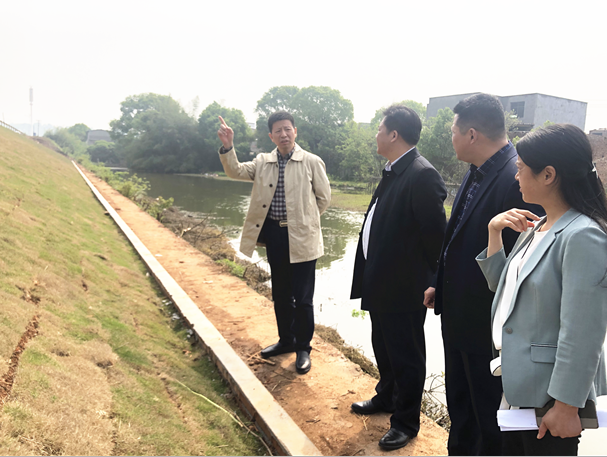 市委副书记王洪斌督查芦淞区湘江堤防养护工作