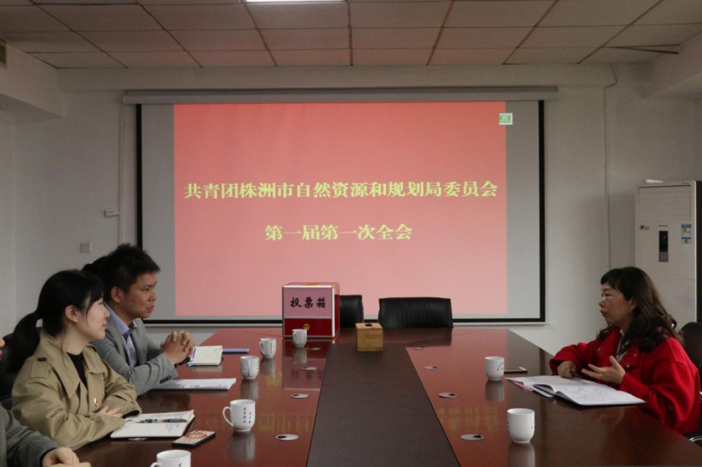 共青团株洲市自然资源和规划局委员会成立大会暨第一次团员代表大会召开