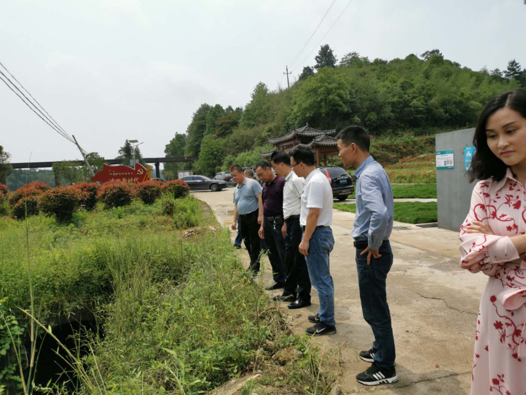 专项指导农村生活污水治理  助力楠木山村美丽乡村建设