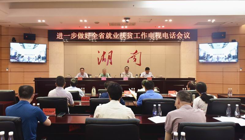 全省进一步做好就业扶贫工作电视电话会议召开