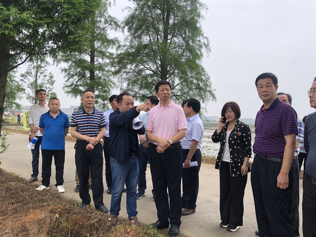 株洲市委副书记王洪斌来攸调研　观摩指导水稻机械化栽植现场演示会