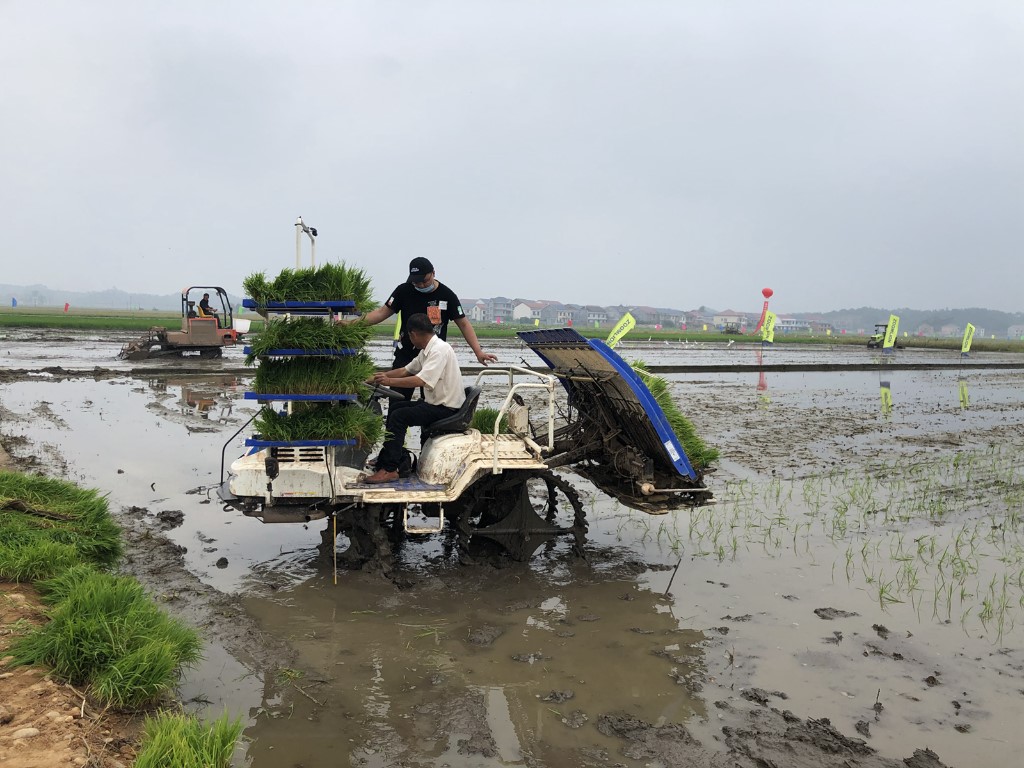 株洲市委副书记王洪斌来攸调研　观摩指导水稻机械化栽植现场演示会