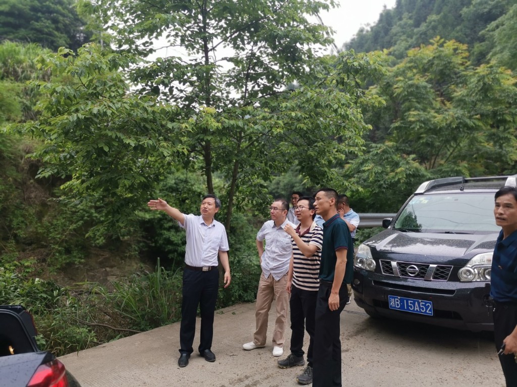 黄升阳赴八斗村调研脱贫攻坚工作