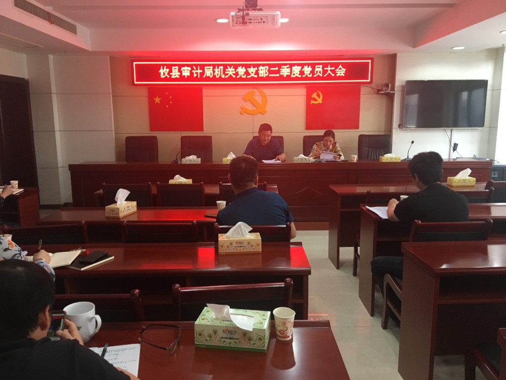 攸县审计局机关党支部召开二季度党员大会
