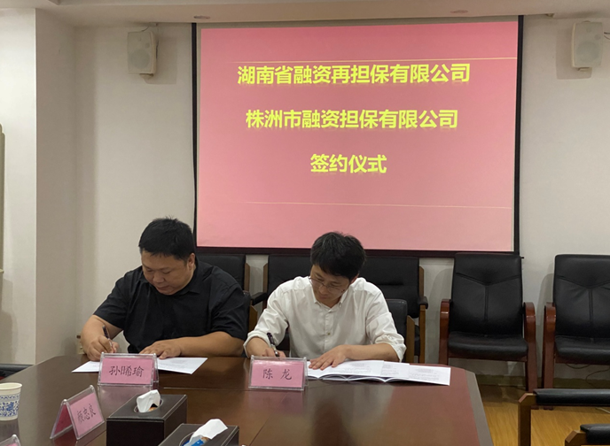 全面推进湖南省“4321”新型政银担风险 分担落地   助力中小微企业发展