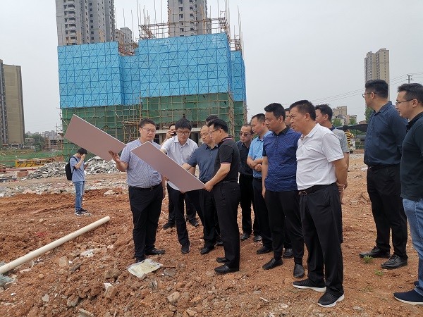 副市长谭可敏视察荷塘区黑臭水体整治项目
