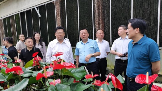 湖南省交通水利建设集团考察组来攸考察
