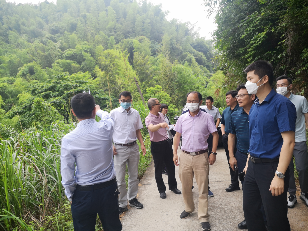 三峡集团一行来我市考察攸县抽水蓄能电站项目