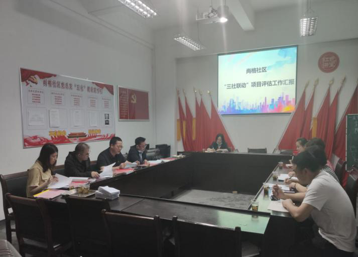 天元区开展创建全国社区治理和服务创新实验区“三社联动”项目评估