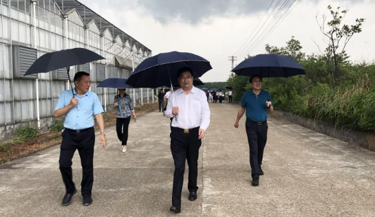 湖南省交通水利建设集团考察组来攸考察