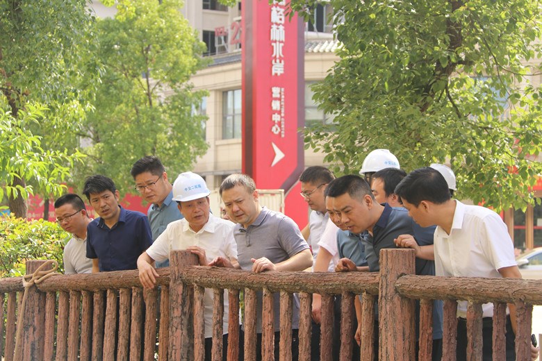 邬凌云带队开展巡河及黑臭水体调研活动