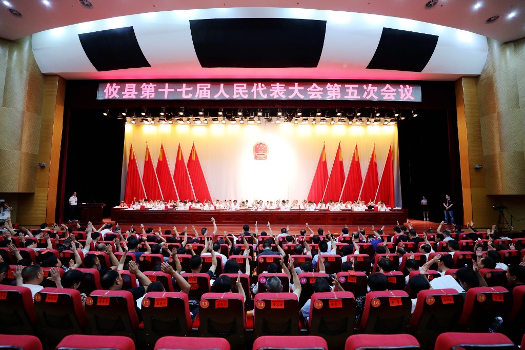 攸县第十七届人民代表大会第五次会议进行大会选举