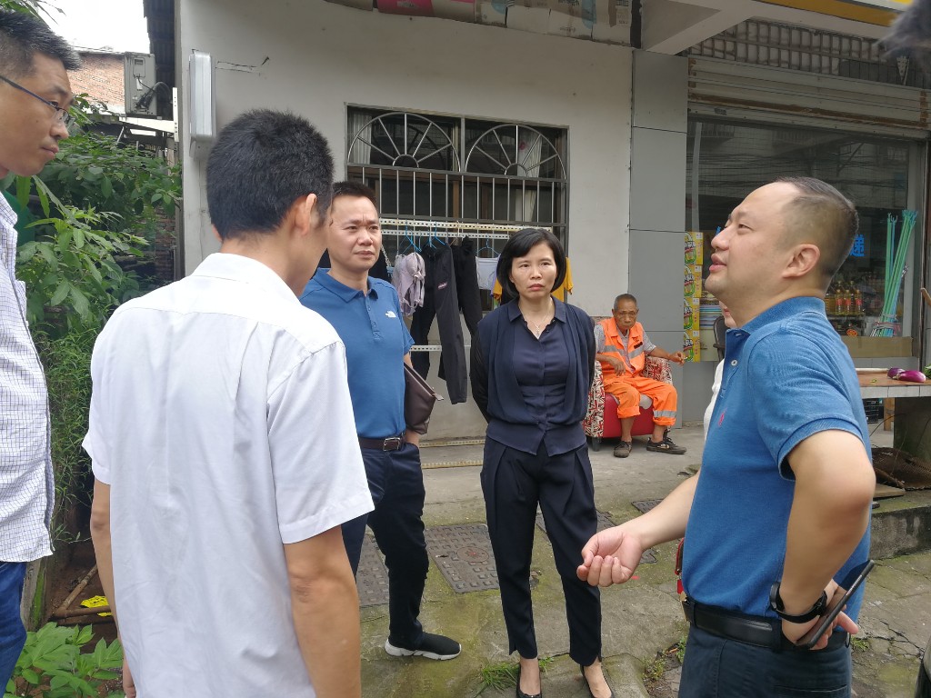 巫智敏带队巡查芦淞区汛期地灾防治工作