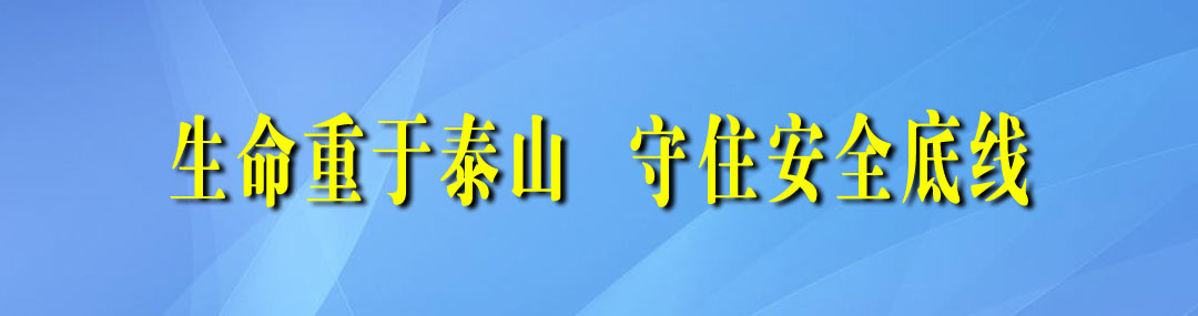 浓情端午 蒜香飘远