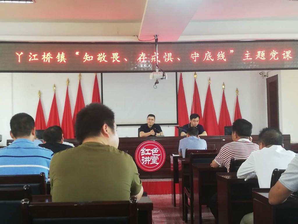 丫江桥镇机关支部6月份主题党日活动