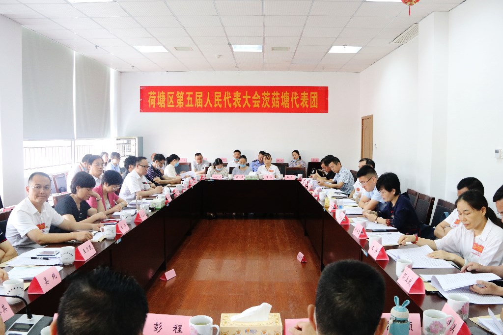 区人大代表团分组讨论，为实现高质量发展出谋划策