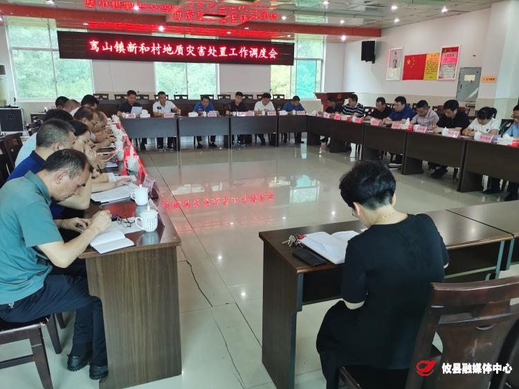 攸县召开鸾山镇新和村地质灾害处置工作调度会