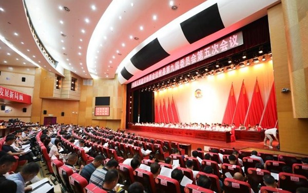 【两会·进程】政协攸县第九届委员会第五次会议进行大会选举