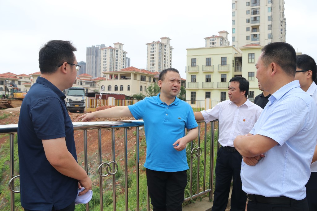 荷塘区委书记、第一总河长邬凌云带队巡河