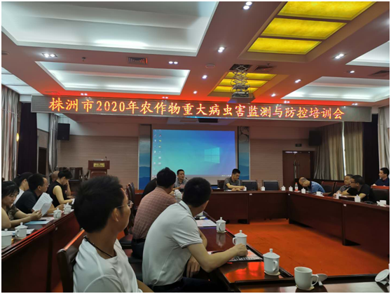 株洲市召开2020年农作物重大病虫害监测与防控培训及草地贪夜蛾防控工作会议
