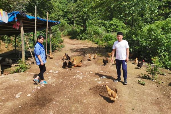 黄丰桥镇：小伙不当白领当“养猪倌”　回家乡闯天地