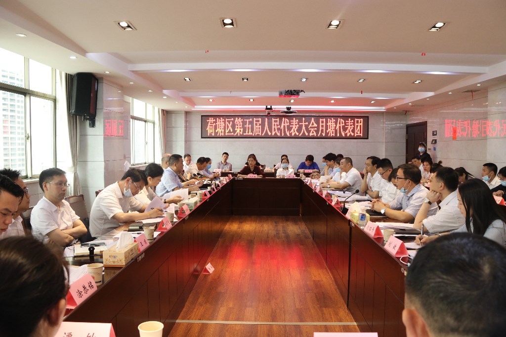区人大代表团分组讨论，为实现高质量发展出谋划策