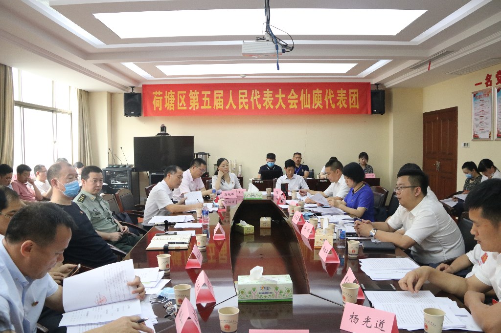 区人大代表团分组讨论，为实现高质量发展出谋划策