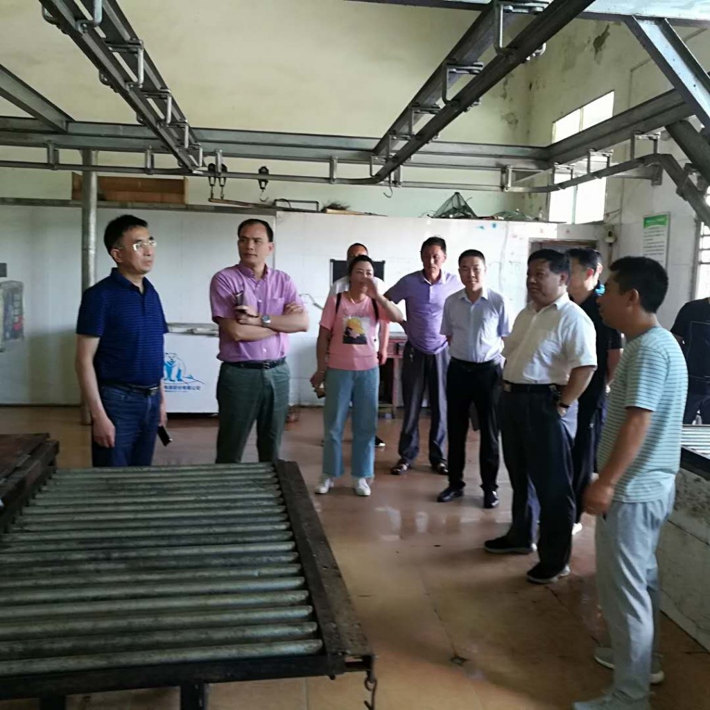 省督察组来攸督导屠宰环节非洲猪瘟防控工作