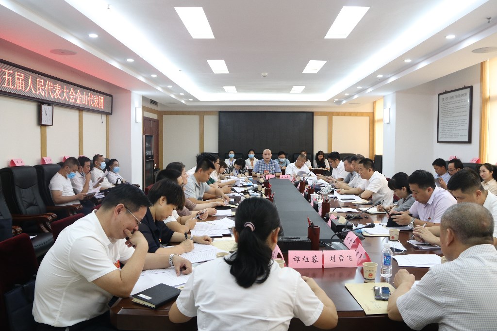 区人大代表团分组讨论，为实现高质量发展出谋划策
