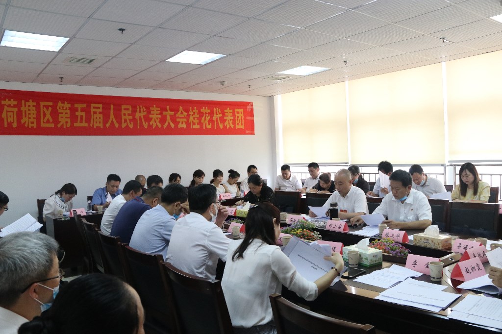 区人大代表团分组讨论，为实现高质量发展出谋划策