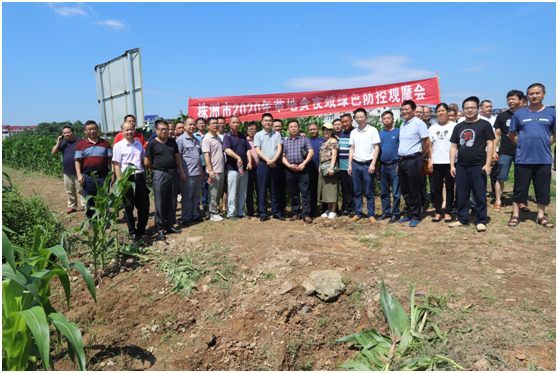 株洲市召开2020年农作物重大病虫害监测与防控培训及草地贪夜蛾防控工作会议
