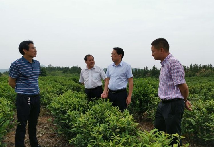 康月林督导省级贫困村脱贫质量“回头看”问题整改工作 强调:紧扣问题抓整改 确保完成决战脱贫攻坚目标任务