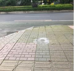 文明劝导 细致入微
