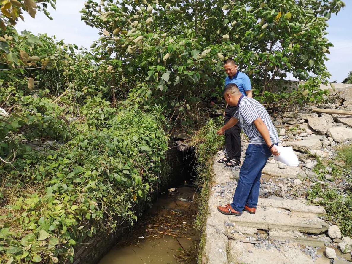 株洲市生态环境局醴陵分局对入河排污口进行现场核查
