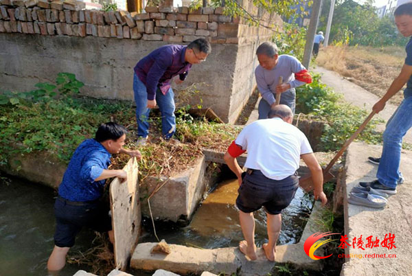 腰潞镇东南村:开展清洁村庄行动,告别“脏乱差