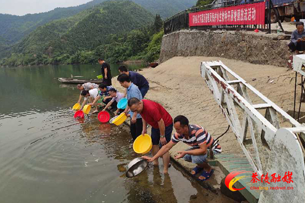 龙下局开展水生物种增殖放流活动