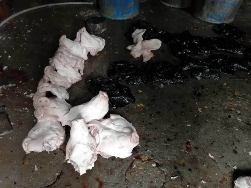 区市场监管局迅速出击取缔一食品加工“黑作坊”