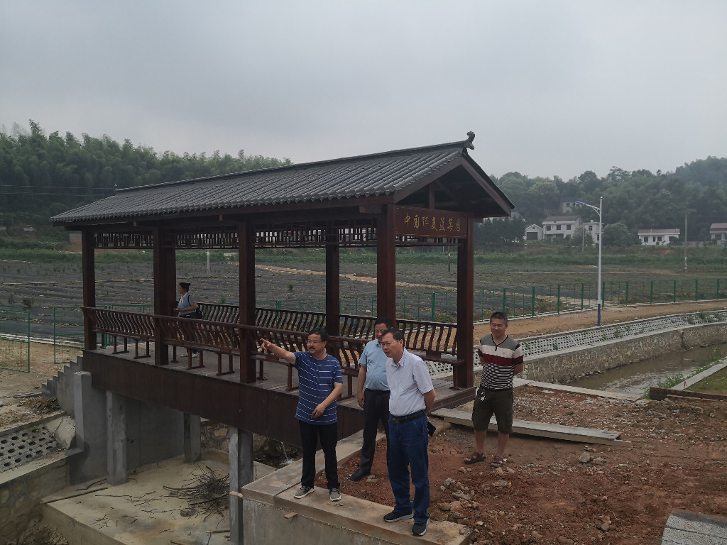 渌口区：以示范创建为抓手  高质量推进农业产业发展