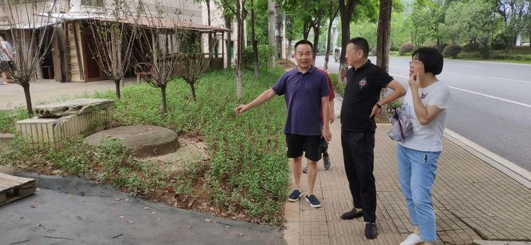 荷塘区园林绿化中心持续开展园林绿化质量监管巡查