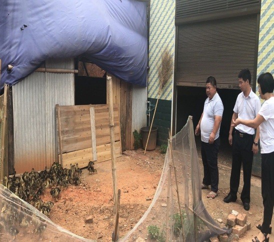 发展养殖业，助力贫困户