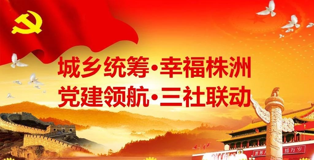 【城乡统筹&middot;幸福株洲】 株洲市天元区健康志愿者协会下乡镇调研摸底活动圆满成功