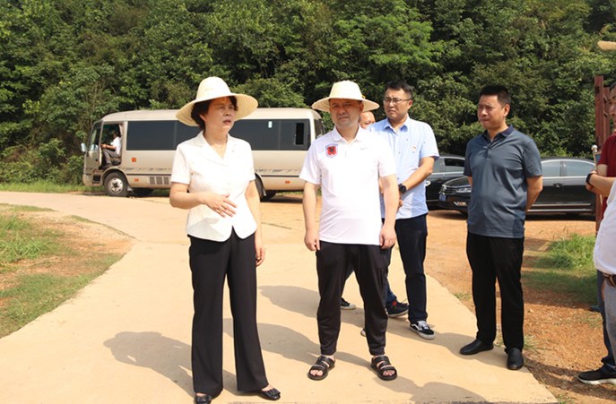 市委常委、政法委书记杨玉芳来荷塘区调研