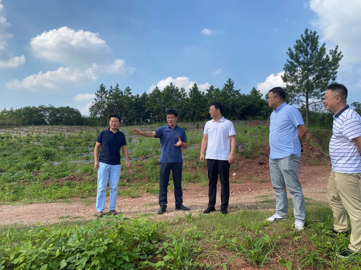 区委宣传部一行到仙庾镇调研指导工作并开展巡河