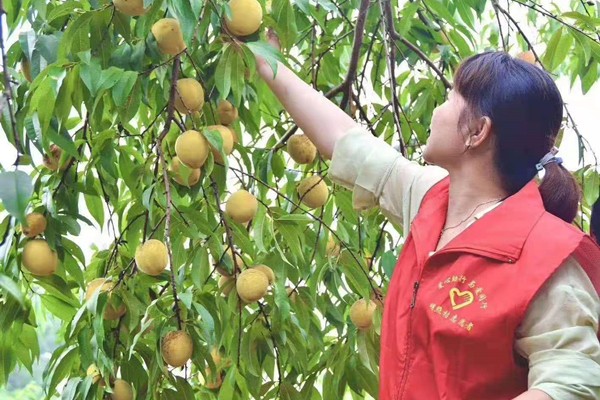 明照街道:爱心义卖 帮扶农户