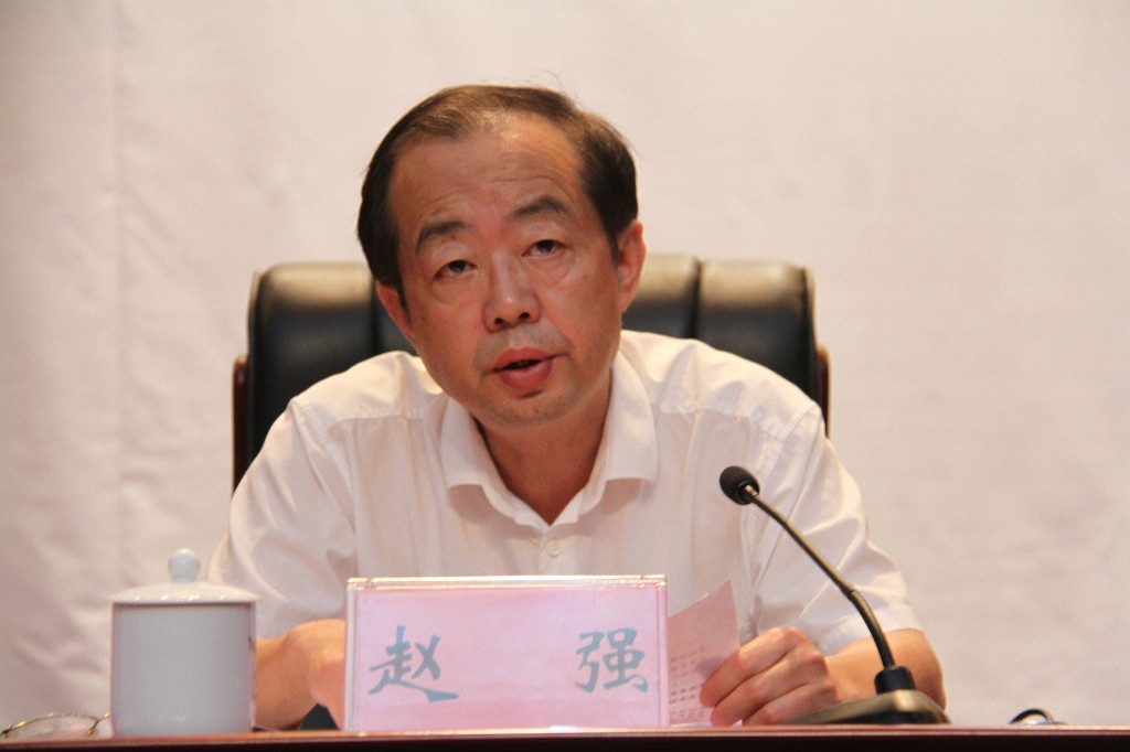 湖南省委第九巡视组向攸县反馈巡视情况