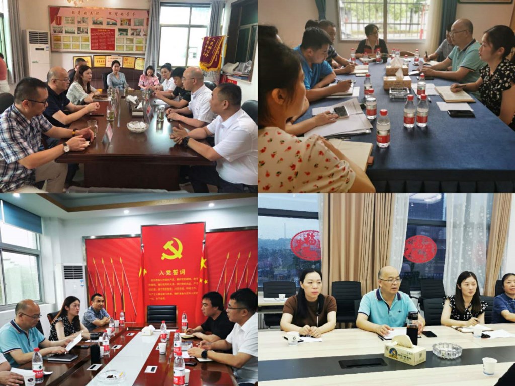 区委统战部开展走访调研基层统战工作暨党派对口联系镇（街）座谈会