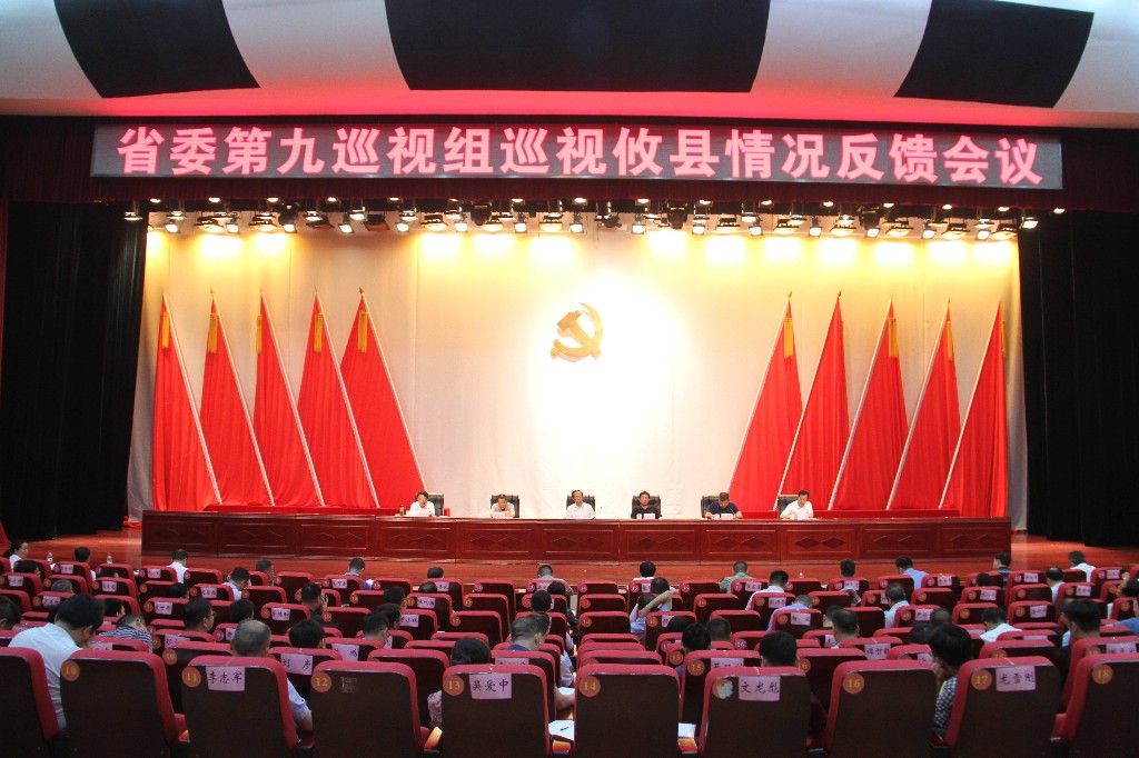湖南省委第九巡视组向攸县反馈巡视情况