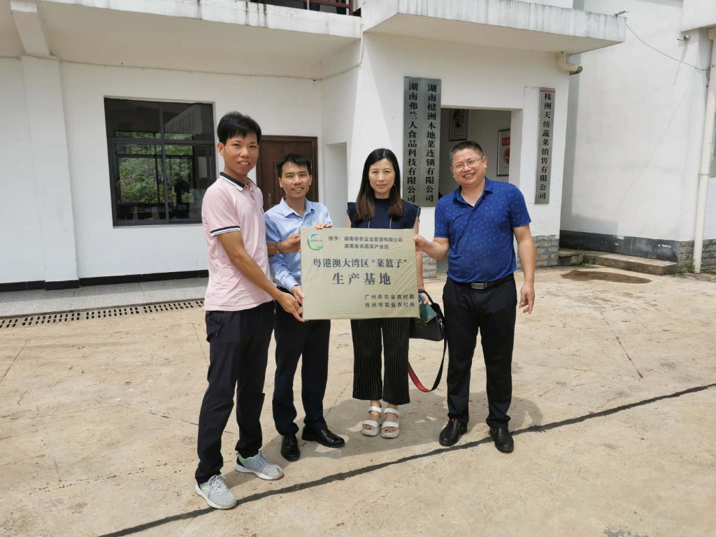 我市两个粤港澳大湾区“菜篮子”生产基地获得授牌