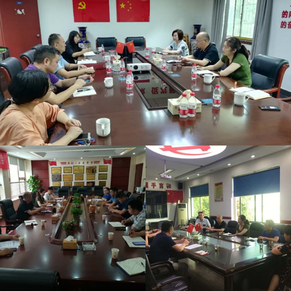 区委统战部开展走访调研基层统战工作暨党派对口联系镇（街）座谈会