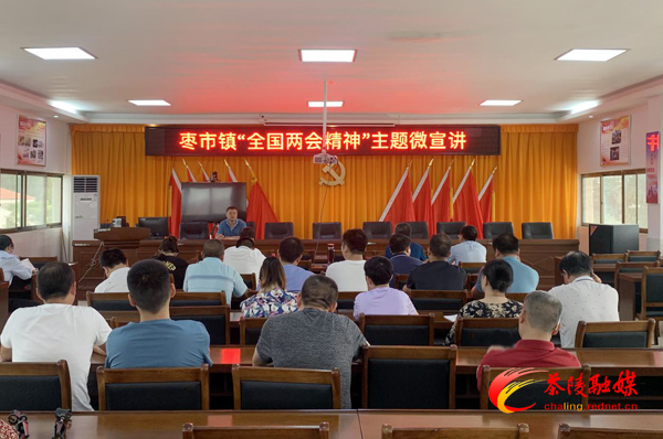 枣市镇开展“战疫密码：中国之治”和“全国两会精神”主题微宣讲系列活动
